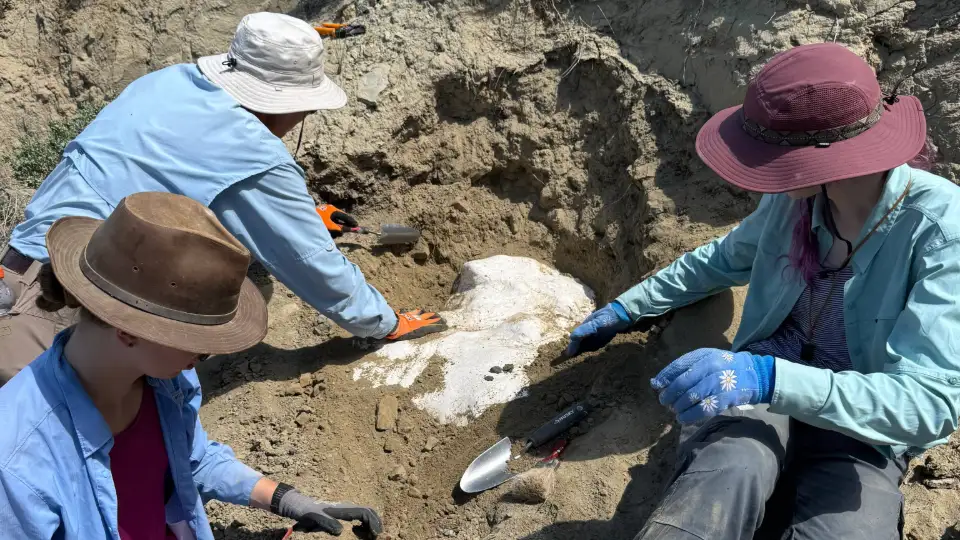 Bite-Sized Science: Paleontology Fieldwork