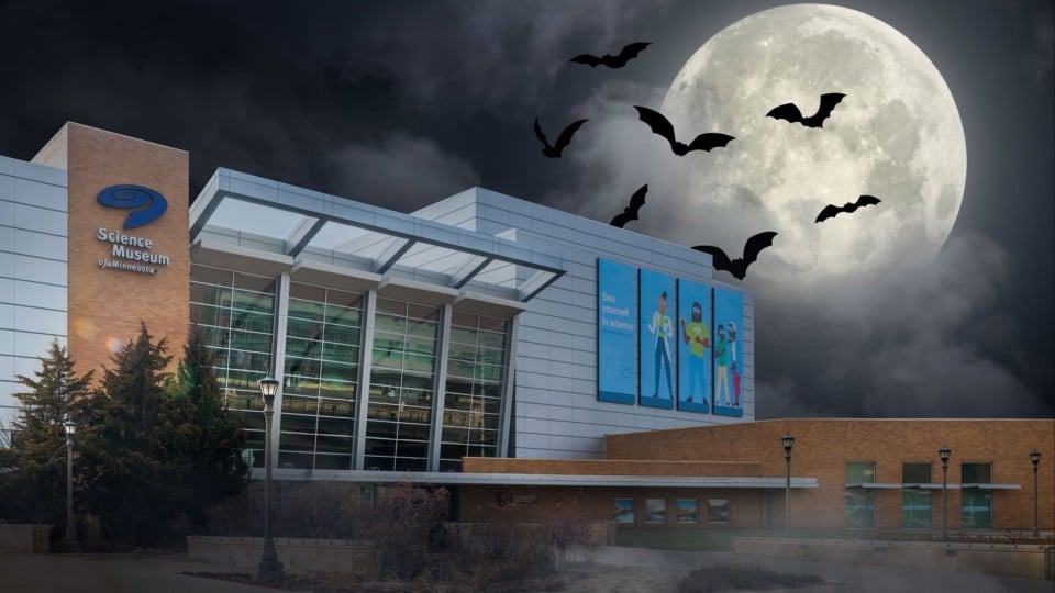 What We’re Watching: Horror Edition