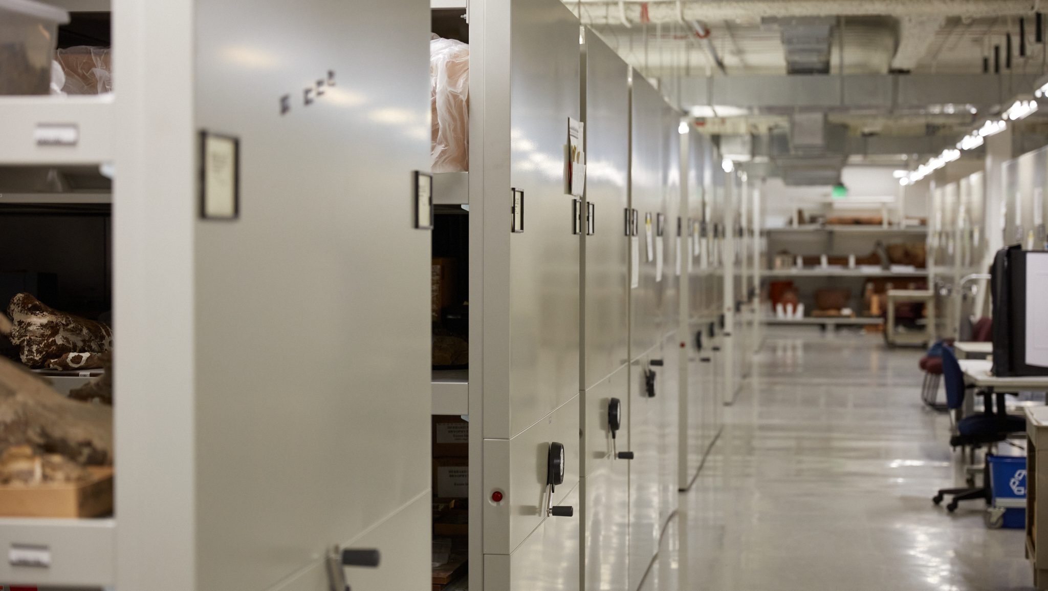 Dangerous Items in Our Collections 