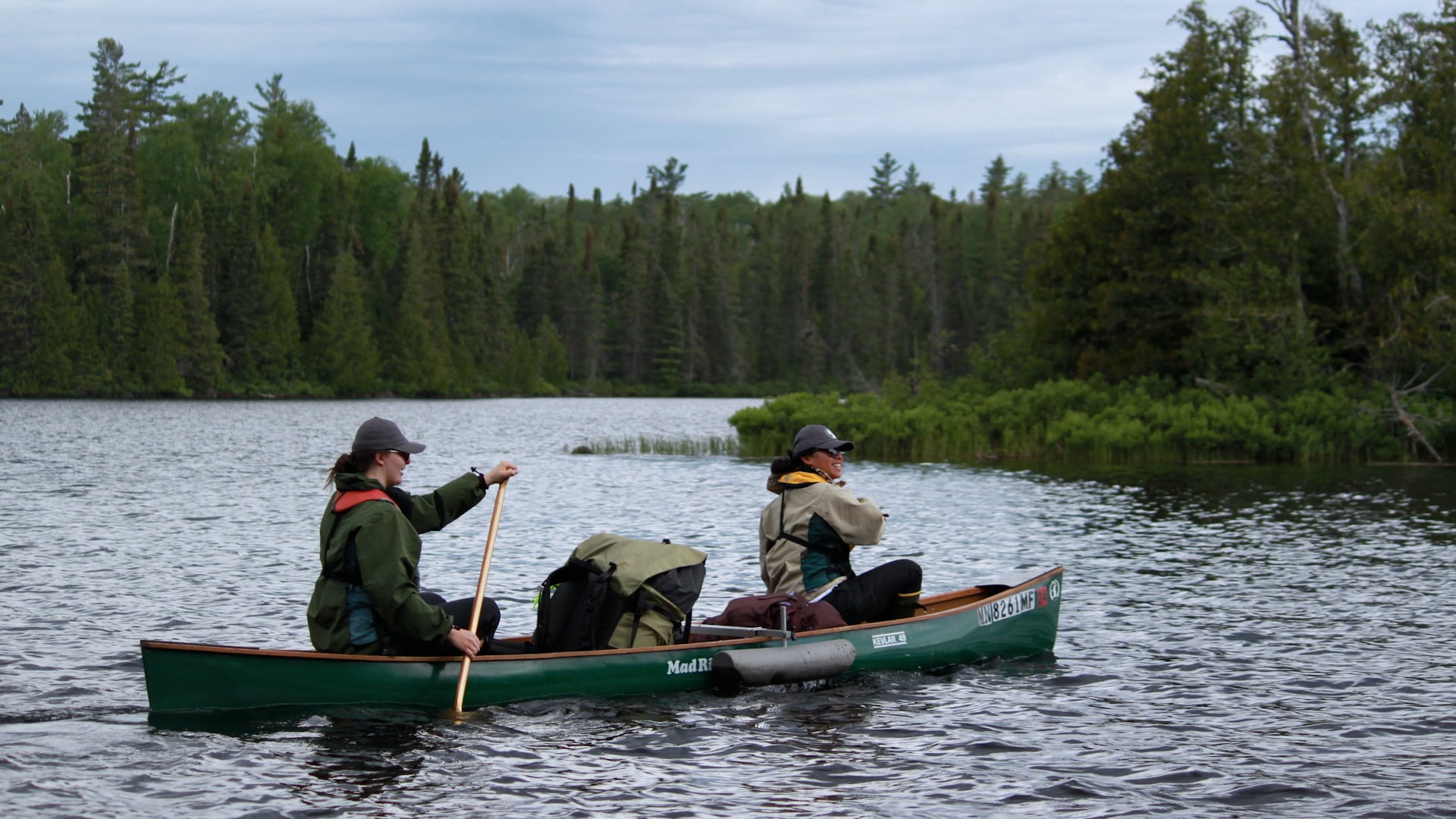 Wilderness Lakes and Harmful Algal Blooms 
